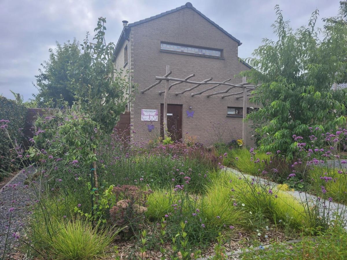 Purple Papillon Villa Heuvelland Exterior photo